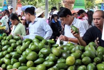 Sai phạm vệ sinh an toàn thực phẩm: Phải xử lý mạnh tay
