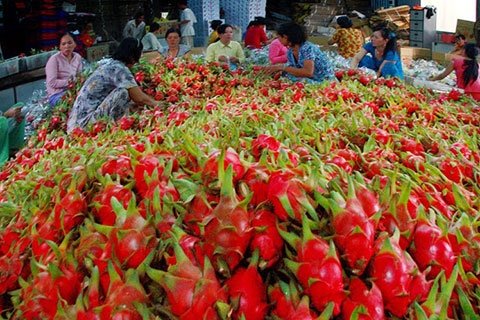 nganh thuc pham viet nam co hoi va tiem nang dang rat lon