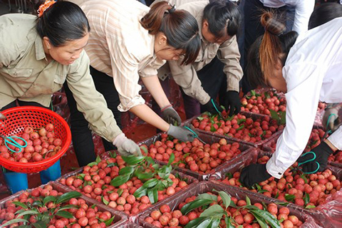 chợ vải