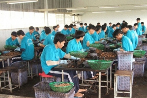 nguoi di cai nghien ma tuy tu nguyen se duoc ngan sach nha nuoc ho tro
