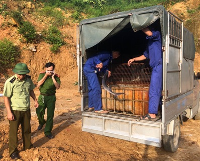 Lào Cai: Bắt giữ và tiêu huỷ 400 kg cá tầm nhập lậu từ Trung Quốc