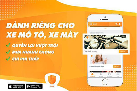 bảo hiểm