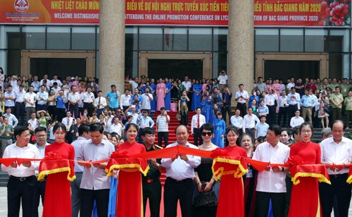Vải thiều