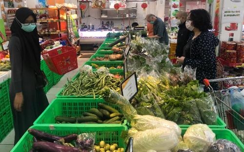 Hải quan lên tiếng về thuế nhập khẩu mặt hàng giống rau và hạt giống dưa hấu