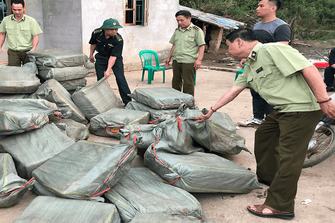 Lạng Sơn: 1 tấn nầm lợn nhập lậu bốc mùi hôi thối nhập lậu vào nội địa