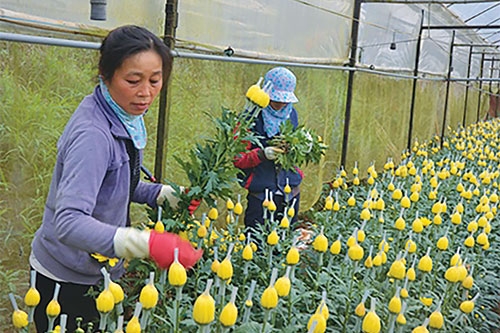 Xây dựng chuẩn nghèo đa chiều giai đoạn 2021 - 2025: Còn nhiều băn khoăn