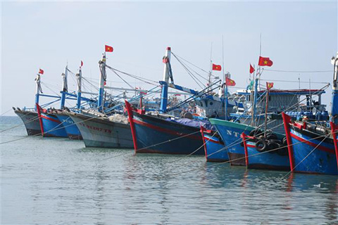 Thủ tướng đồng ý bổ sung hơn 462 tỷ đồng thực hiện một số chính sách phát triển thủy sản