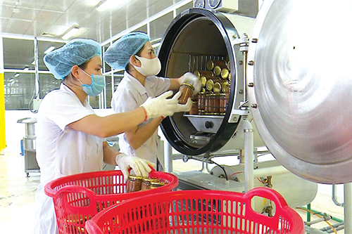 Chế biến sản phẩm ruốc hàu tại Công ty TNHH Sản xuất và Thương mại thủy sản Quảng Ninh (Bavabi).