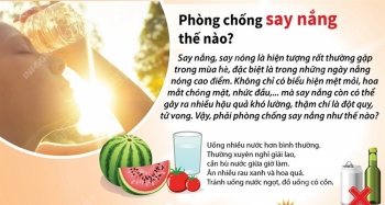 Infographic: Phòng chống say nắng như thế nào?