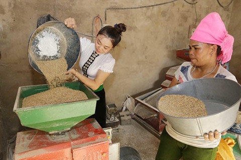 Tỷ lệ nghèo đa chiều chung của Việt Nam có xu hướng giảm