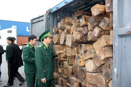 Hải Phòng: Tạm giữ khoảng 10 tấn gỗ quý không đảm bảo thủ tục giấy tờ