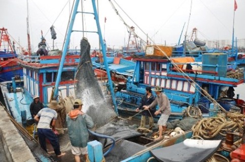 Quảng Bình: 23,5 tỷ đồng hỗ trợ ngư dân khai thác vùng biển xa