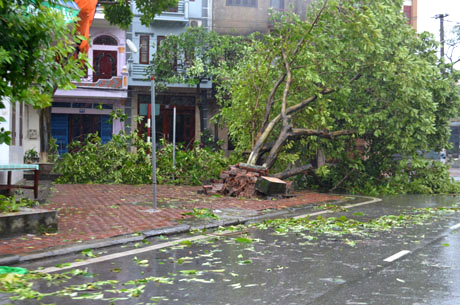 Quảng Ninh không có thiệt hại về người sau bão số 2