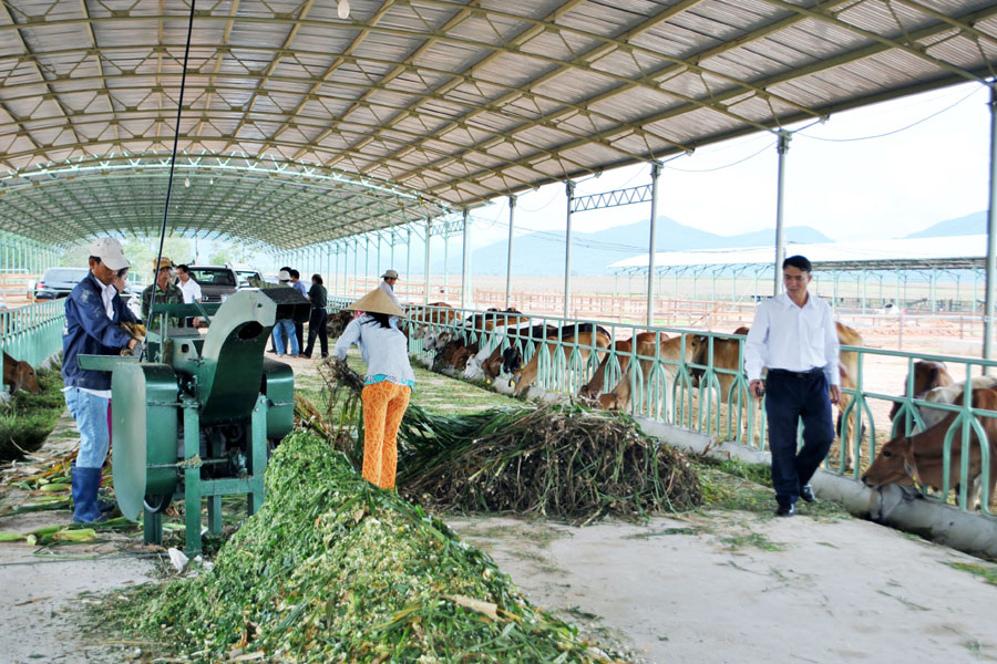 Hoàng Anh Gia Lai được cấp thêm 4 ngành kinh doanh mới