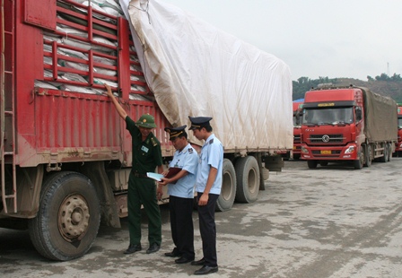 Rút gọn thủ tục kiểm tra chuyên ngành nông nghiệp