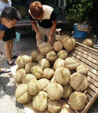 Đồng bằng sông Cửu Long: Trái cây rớt giá mạnh
