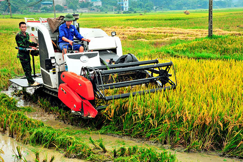 Chỉ đạo, điều hành của Chính phủ, Thủ tướng Chính phủ nổi bật tuần từ 26