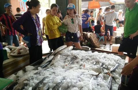 Cả nước có 559 mô hình điểm chuỗi cung ứng nông lâm thủy sản an toàn