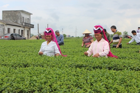 Quảng Ninh: Xử lý nghiêm việc lợi dụng giải phóng mặt bằng để trục lợi