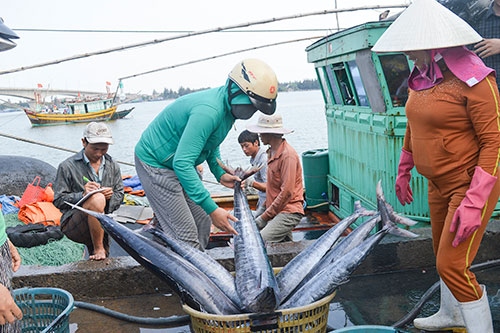 Đánh giá của Bộ Tài nguyên và Môi trường 1 năm sau sự cố Formosa