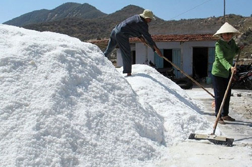 Diêm dân Bến Tre găm muối chờ giá tăng thêm