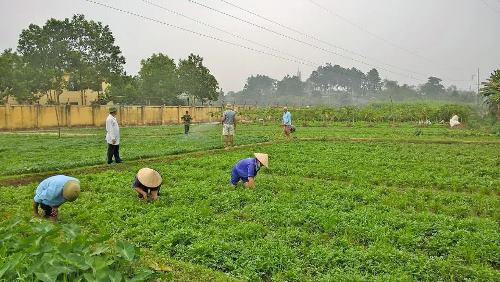 Bắc Ninh: Phụ nữ khởi nghiệp được vay tối đa 2 tỷ đồng/dự án