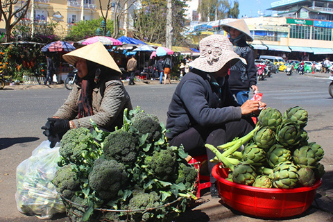 Giá rau tại Đà Lạt tăng cao do mưa kéo dài