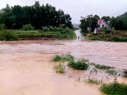 Quảng Ninh: Di dời hộ dân ra khỏi nơi ngập lụt, hạn chế thiệt hại do mưa, lũ gây ra