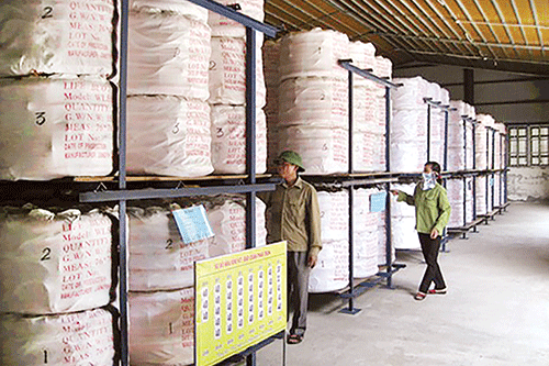 Hiện nay, hoạt động DTQG đ&atilde; bước đầu huy động được c&aacute;c nguồn lực hợp ph&aacute;p ngo&agrave;i NSNN