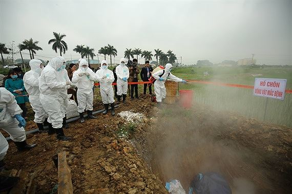 Tiêu hủy