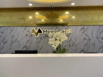 Về tính pháp lý, hoạt động kinh doanh của Công ty CP Tập đoàn Meey Land