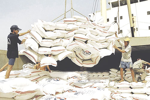 Bên cạnh sản lượng lúa gạo xuất khẩu, tiềm năng xuất khẩu thủy sản,