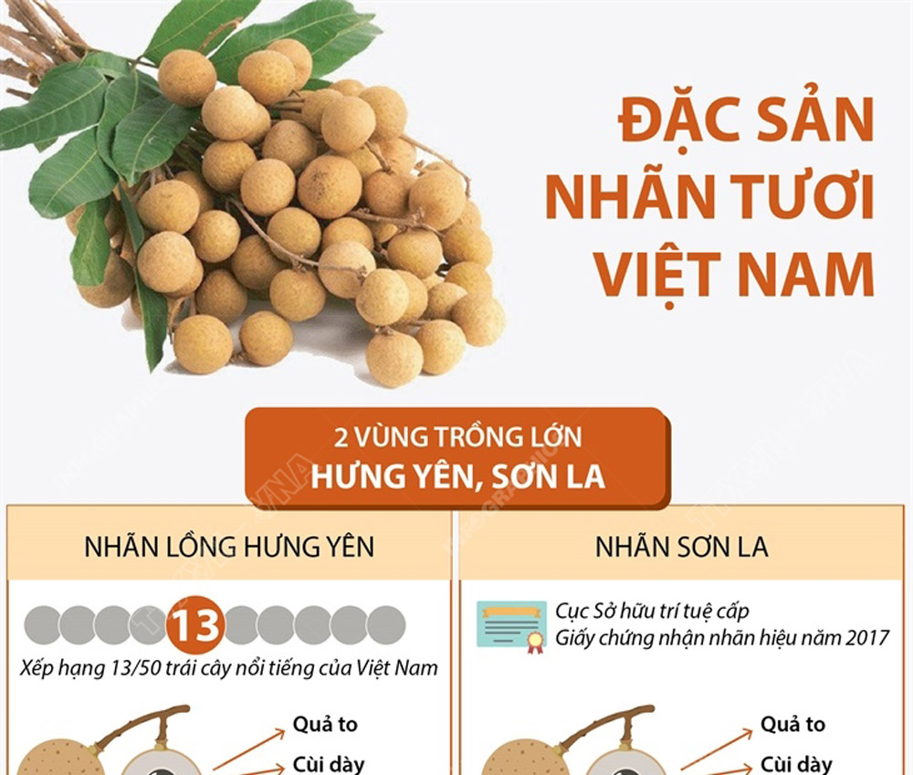Đặc sản nhãn tươi Việt Nam