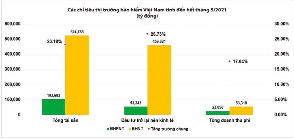 Biểu đồ 13