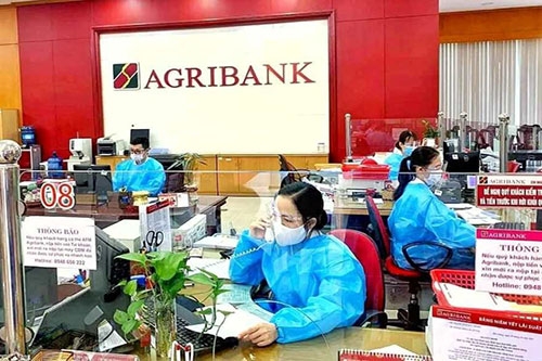 agribank tiep suc ho san xuat doanh nghiep vung tin vuot qua dai dich