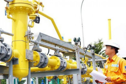 PV Gas D bị xử phạt hành chính về thuế