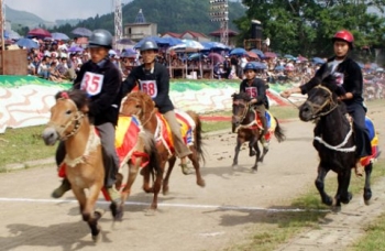 Đồng thuận với việc ra đời Nghị định đặt cược đua ngựa, đua chó và bóng đá quốc tế