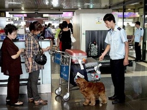Bắt giữ hơn 6,5 kg ma túy tại sân bay Nội Bài