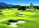 Quảng Bình: Xây 10 sân golf chỉ là ý tưởng của FLC