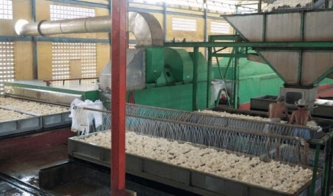 Công nghiệp hỗ trợ nông, lâm, thủy sản: Vừa yếu, vừa lạc hậu
