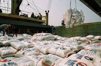 Xuất khẩu gạo dự kiến đạt 6,5 triệu tấn trong năm 2015