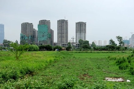 Phát hiện 160 vụ vi phạm về đất đai
