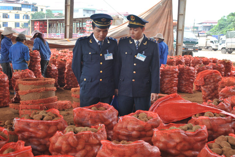 13 thủ tục Nông nghiệp sẽ kết nối Cơ chế một cửa quốc gia trong năm 2016