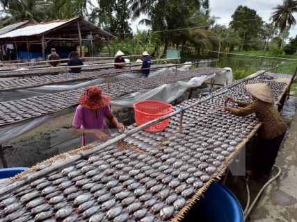 Cà Mau đăng ký đưa cá khô bổi thành thương hiệu đặc sản