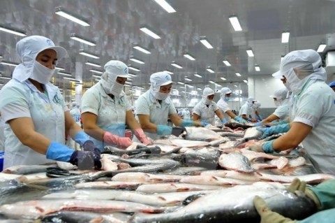 Mỹ nêu lý do cấm nhập khẩu một lô cá da trơn từ Việt Nam
