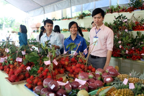 nông sản