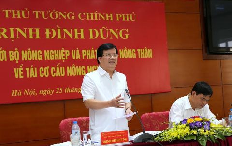 Tái cơ cấu nông nghiệp phải gắn nhu cầu, diễn biến thị trường