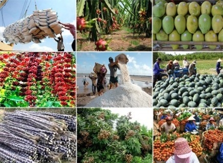 Xuất khẩu nông, lâm thủy sản đạt 20,6 tỷ USD