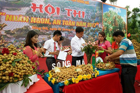 Đặc sắc ngày hội “nhãn Sông Mã”