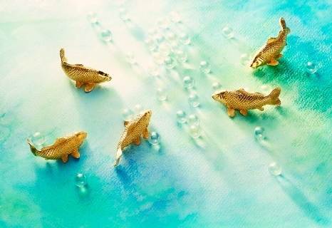 trai nghiem qua tang dang cap chau a ngay tai viet nam